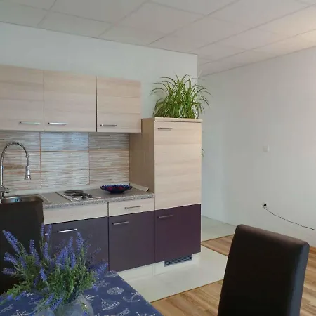 Apartment In Cizici/insel Krk 31083 Čižići